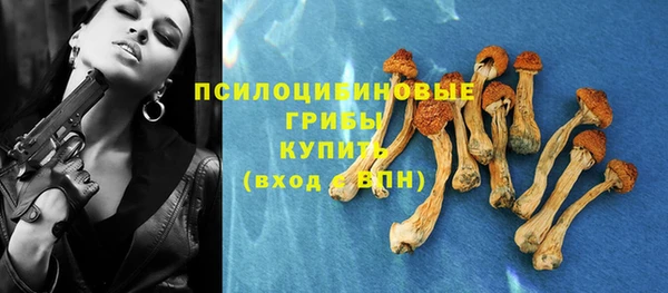 дурь Абдулино