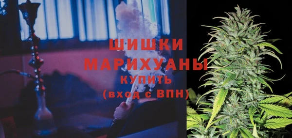ПСИЛОЦИБИНОВЫЕ ГРИБЫ Грязи